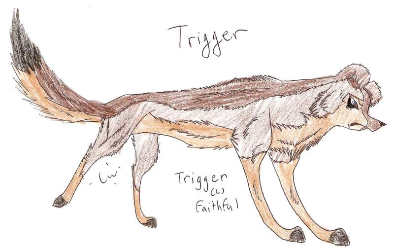 Trigger in wolf's rain style