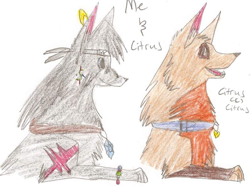 Me and Citrus