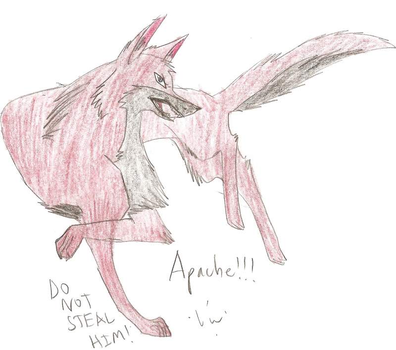 Apache!!!