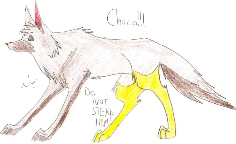 Choco!!!