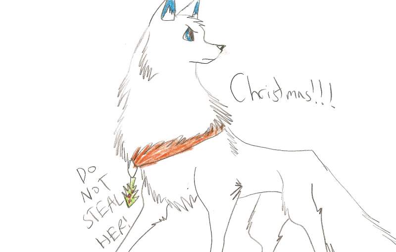Christmas!!!