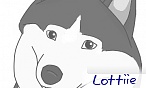 Lottiie
