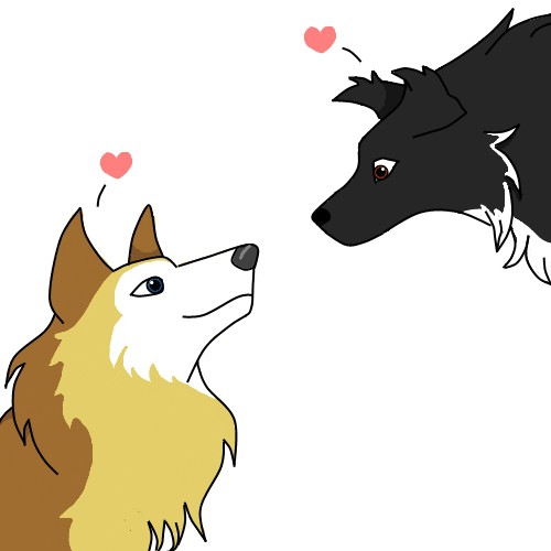 Love at first sight