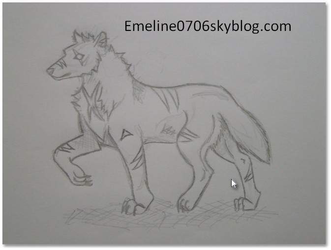 loup