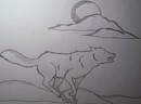 loup