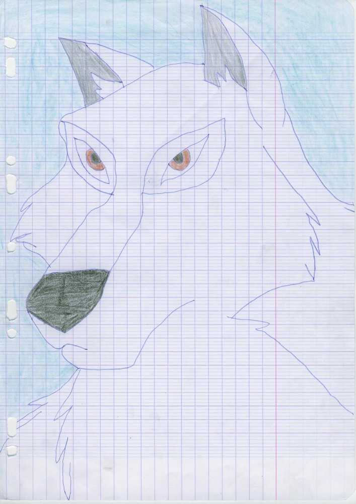 Aniu