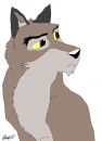 Balto observe