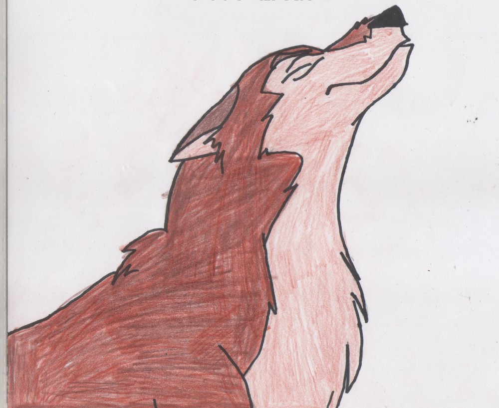 Aleu