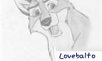 Balto the wolf