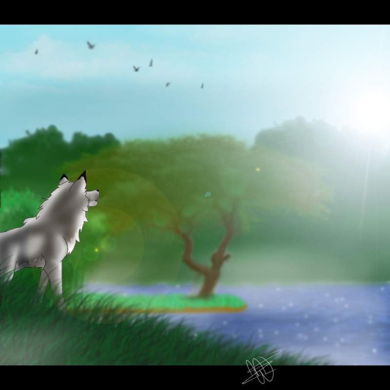 Dawn of a new day