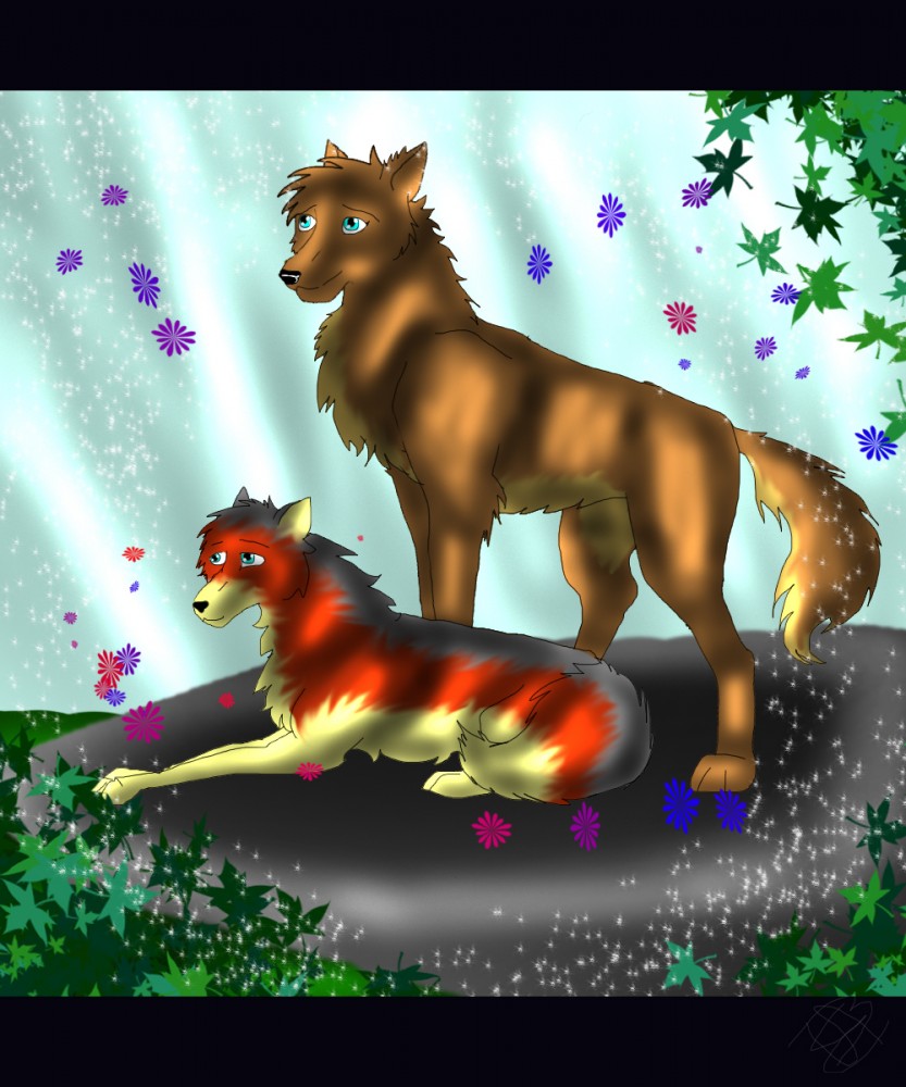 Request ligerstar/kaya