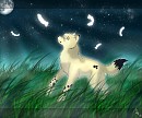 Feathers of Guidance