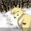 Scars