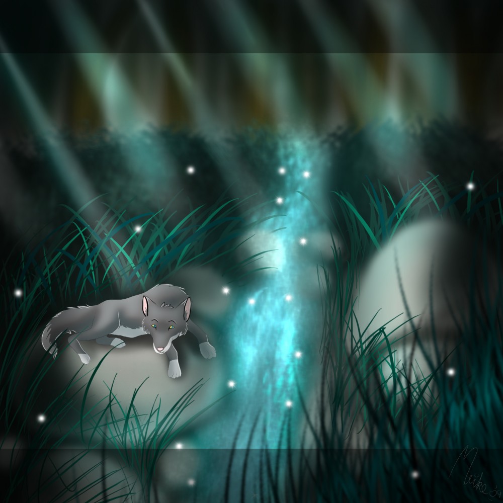 Dream