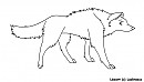 Wolf Lineart