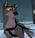 Balto is lost...