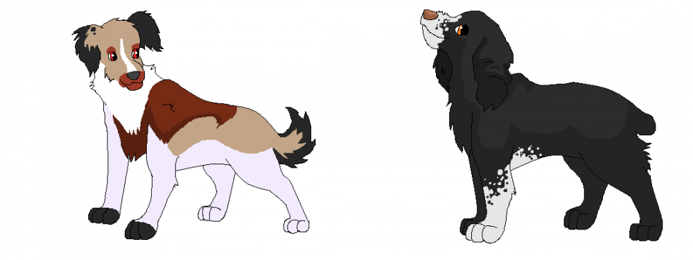 Two New chars