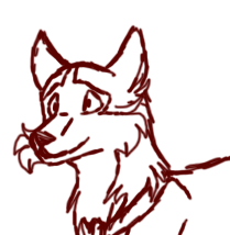 Kodi Sketch