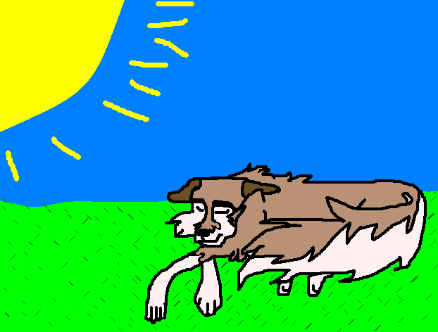 Aleu