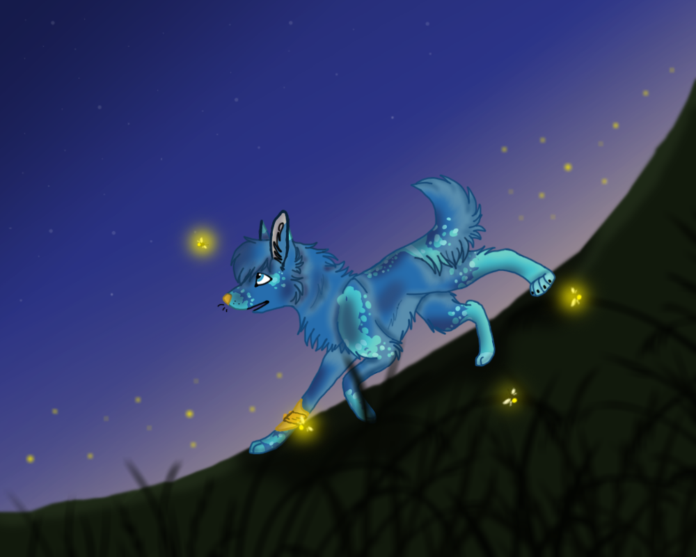 Somewhere Video Draw