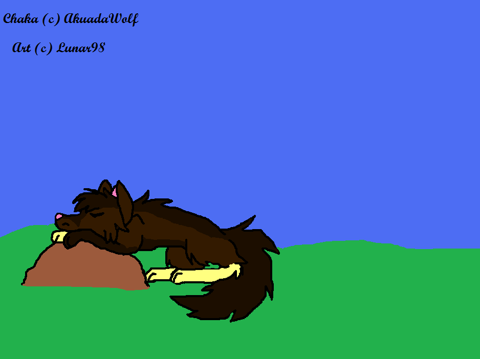 Chaka: Contest prize for AkuadaWolf
