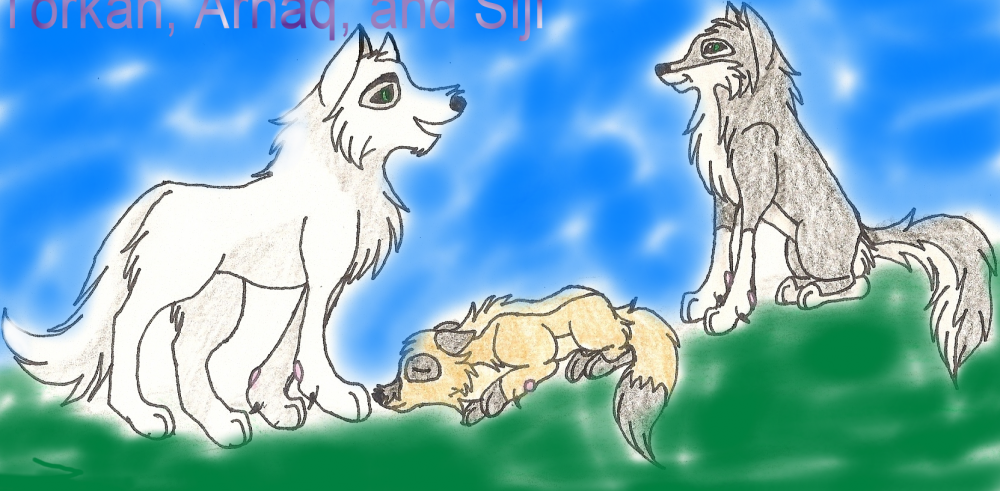 Torkan, Arnaq, and Siji
