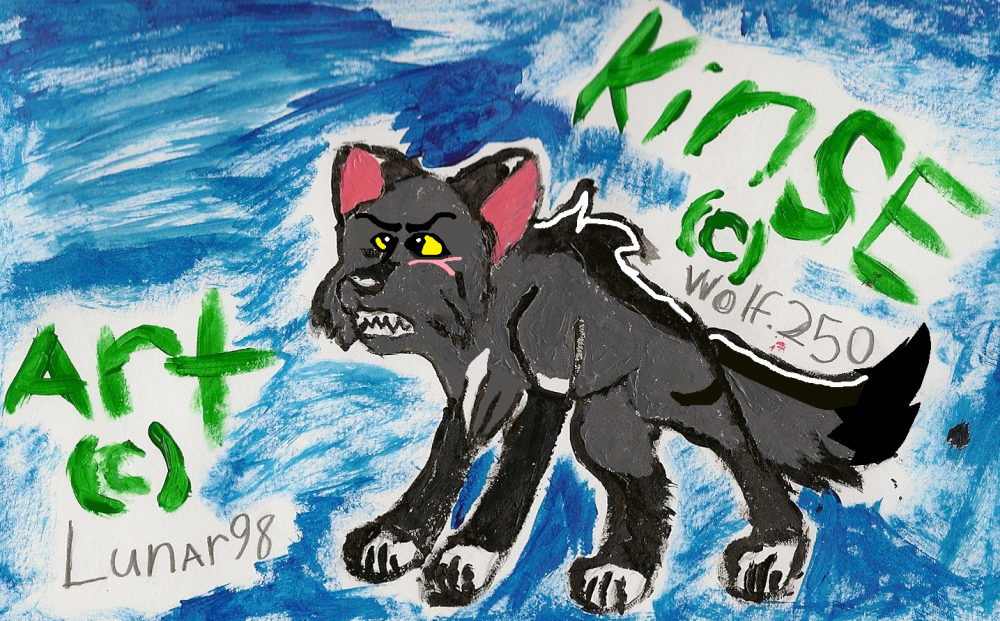 Kinse *gifty for Wolf250*