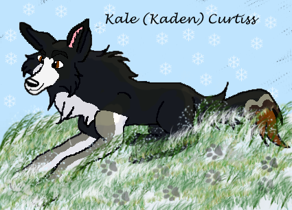 Kale (Kaden) Curtiss