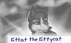 Kitkat the Kittycat