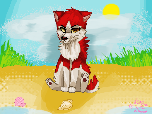 Grumpy Kodi