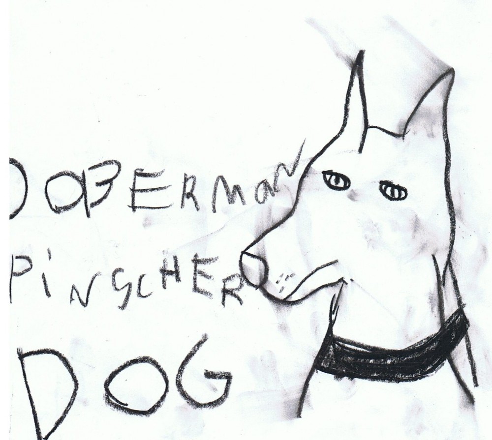 Doberman