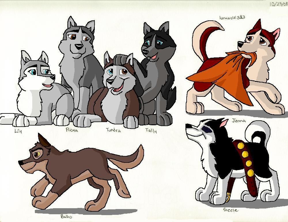 Puppy Pictures