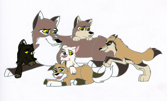 Teh Poopies