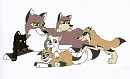 Teh Poopies