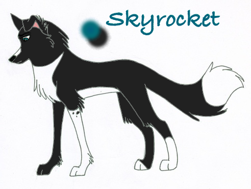 Sky Ref