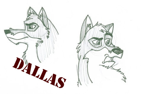 Some Dallas Headshots!! 