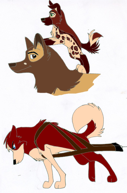 Doodlez