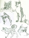 Black and White doodle dump