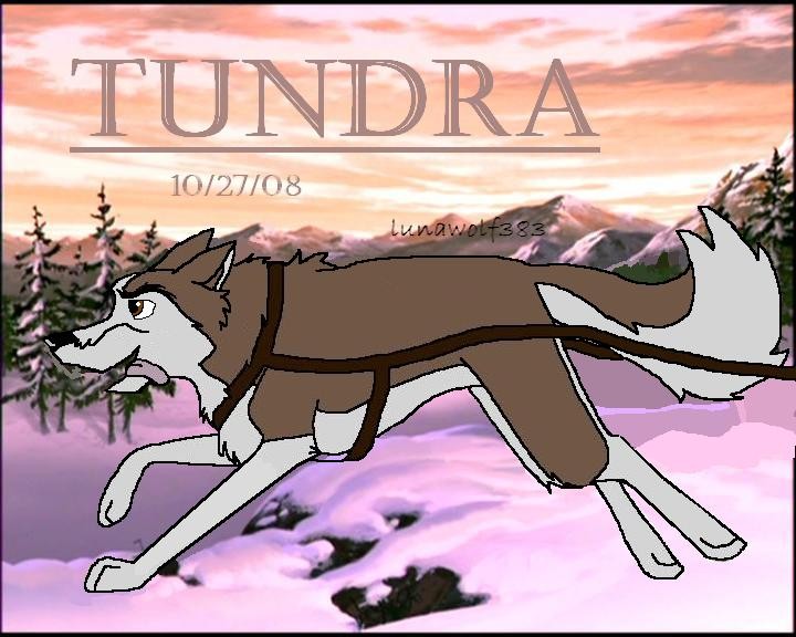 Tundra