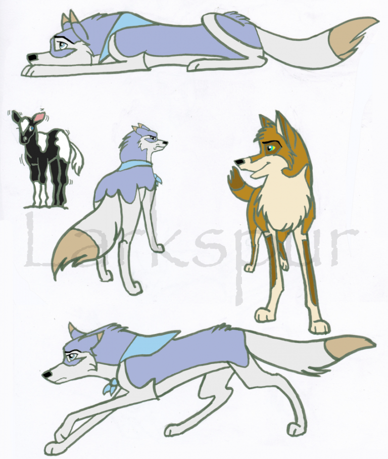 Saphrina Herding