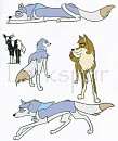 Saphrina Herding