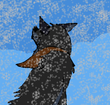 Balto searches for the Team