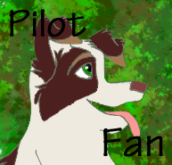 Pilot Avvie
