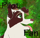 Pilot Avvie