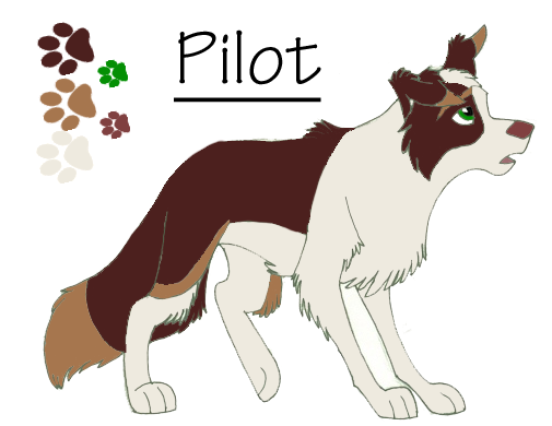 Pilot Ref