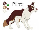 Pilot Ref
