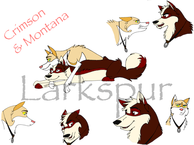 Crimson and Montana