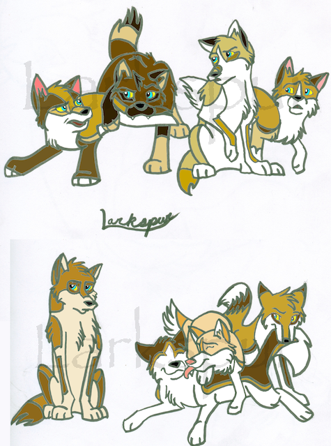 The Official Litters