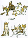 The Official Litters