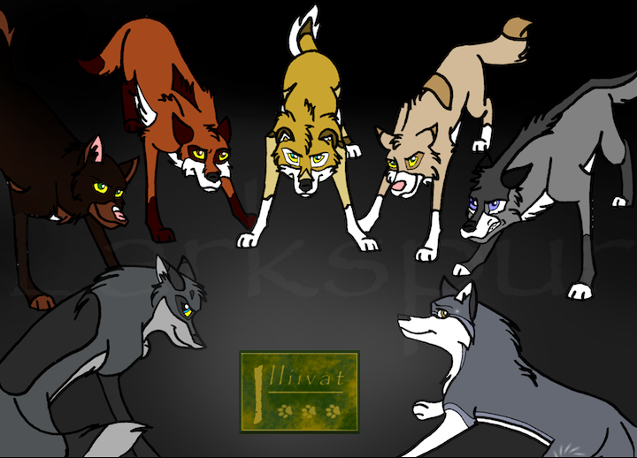 The Pack